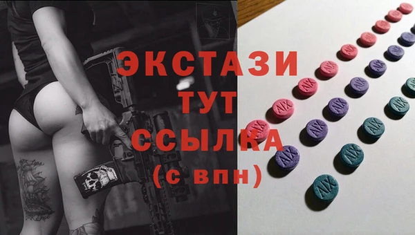 индика Заводоуковск