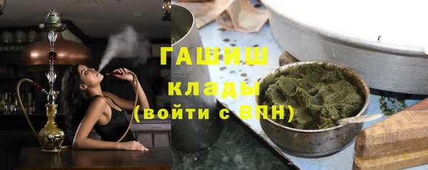 индика Заводоуковск