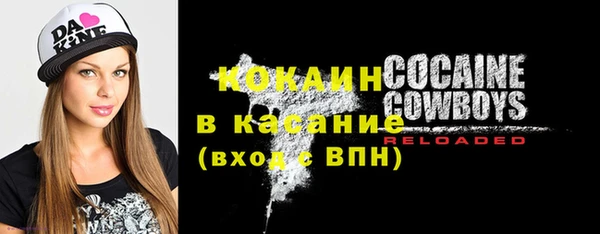 индика Заводоуковск
