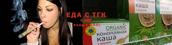 индика Заводоуковск