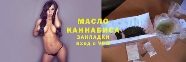 индика Заводоуковск