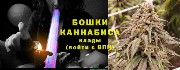 индика Заводоуковск