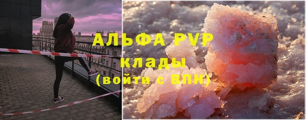 индика Заводоуковск