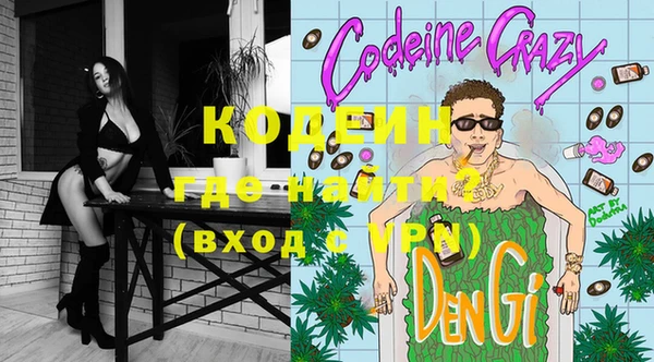 индика Заводоуковск