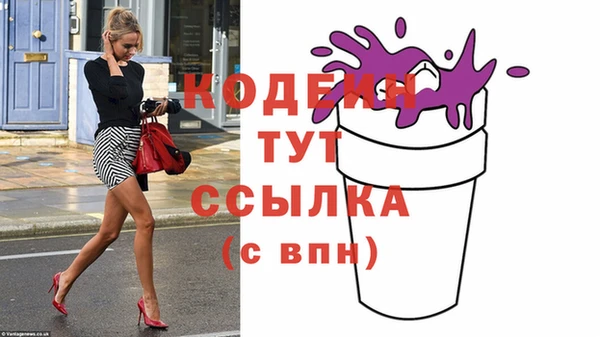 индика Заводоуковск