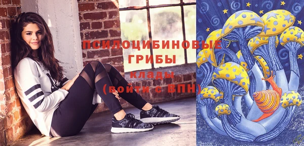 индика Заводоуковск